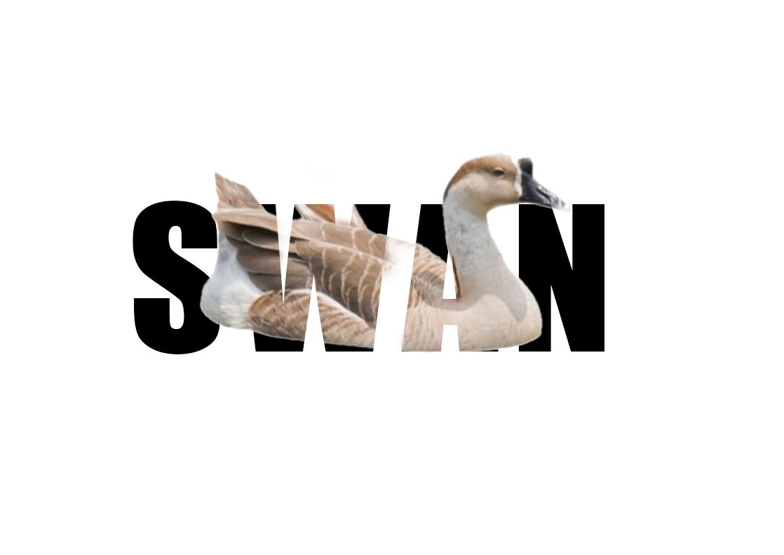 swan masking